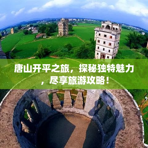 披肝沥胆 第4页