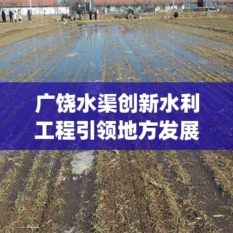 广饶水渠创新水利工程引领地方发展重磅新闻头条