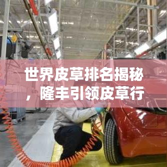 世界皮草排名揭秘，隆丰引领皮草行业风潮