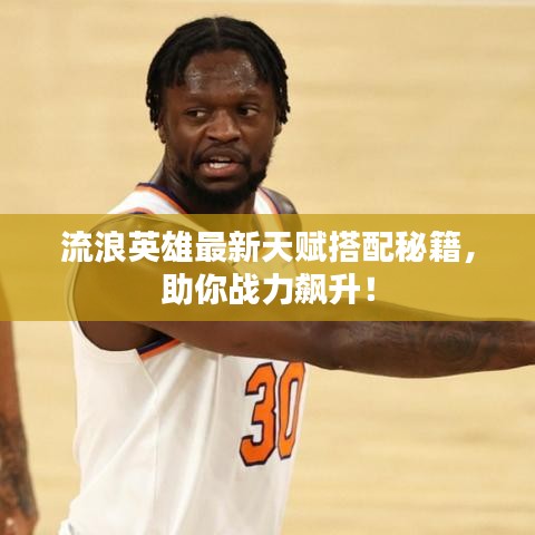 流浪英雄最新天赋搭配秘籍,助你战力飙升!