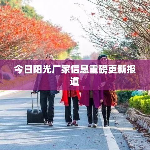 今日阳光厂家信息重磅更新报道