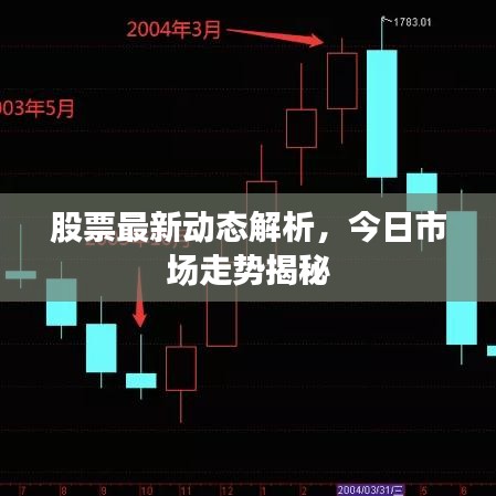 股票最新动态解析,今日市场走势揭秘