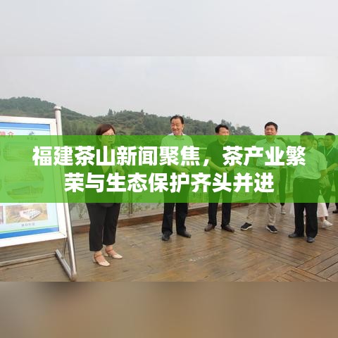 福建茶山新闻聚焦,茶产业繁荣与生态保护齐头并进