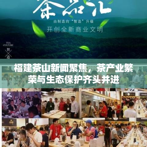 福建茶山新闻聚焦,茶产业繁荣与生态保护齐头并进