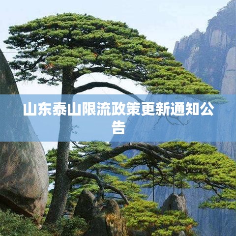 山东泰山限流政策更新通知公告