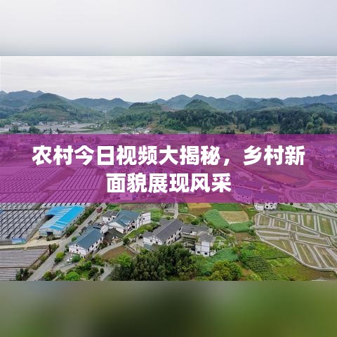 农村今日视频大揭秘，乡村新面貌展现风采