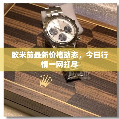 欧米茄最新价格动态，今日行情一网打尽