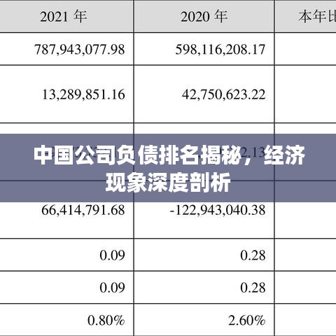 中国公司负债排名揭秘，经济现象深度剖析