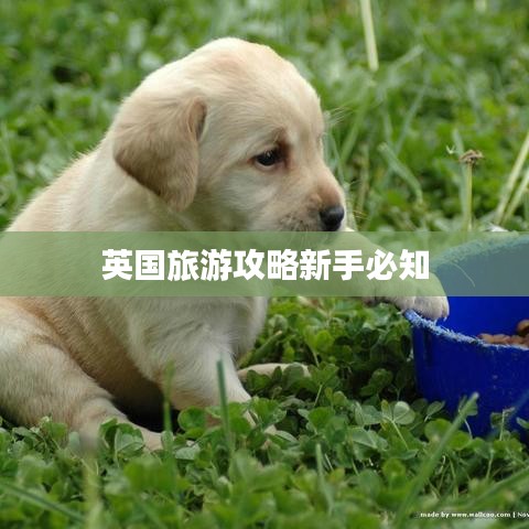 英国旅游攻略新手必知