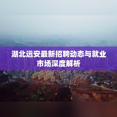 湖北远安最新招聘动态与就业市场深度解析