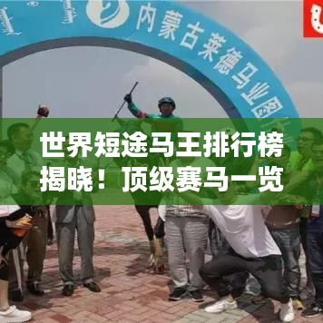 世界短途马王排行榜揭晓!顶级赛马一览无余