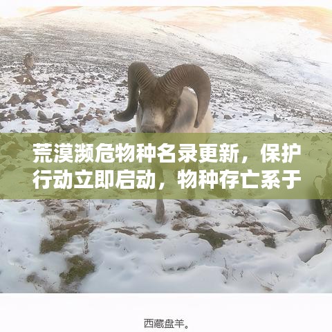 荒漠濒危物种名录更新，保护行动立即启动，物种存亡系于此刻