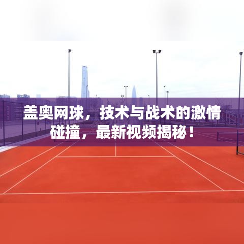 盖奥网球，技术与战术的激情碰撞，最新视频揭秘！