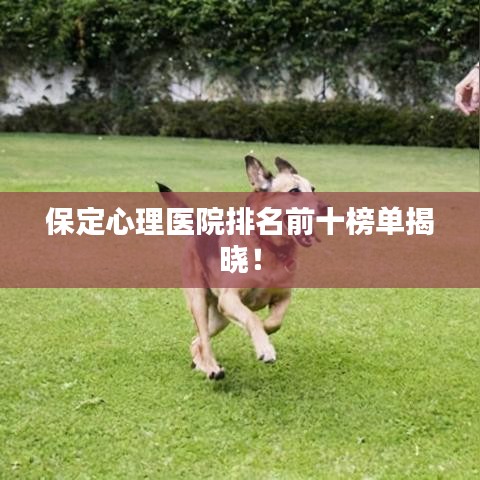 保定心理医院排名前十榜单揭晓!