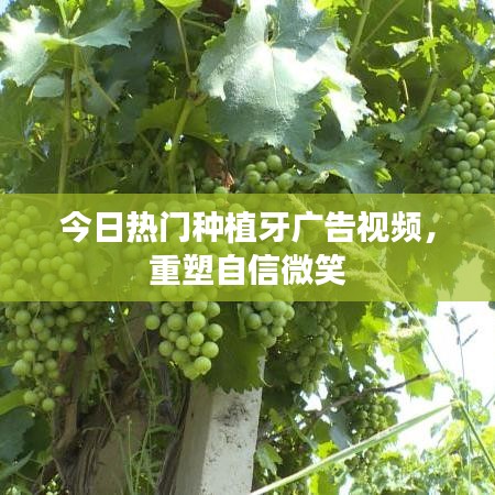 今日热门种植牙广告视频,重塑自信微笑