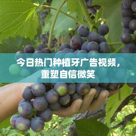 今日热门种植牙广告视频，重塑自信微笑