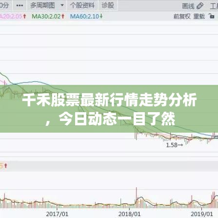 千禾股票最新行情走势分析，今日动态一目了然