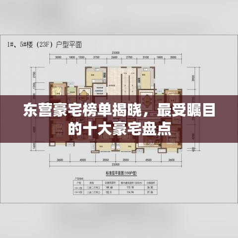 东营豪宅榜单揭晓,最受瞩目的十大豪宅盘点