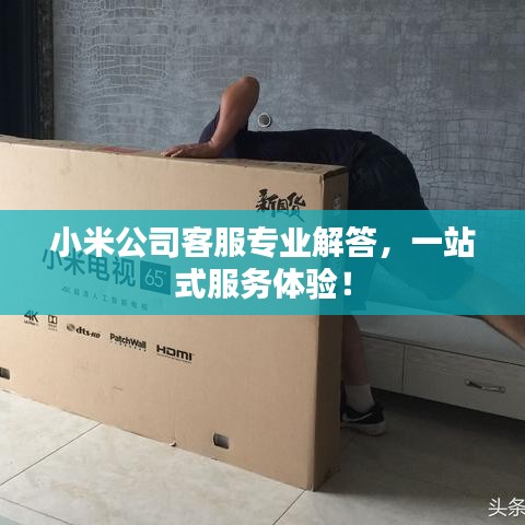 小米公司客服专业解答,一站式服务体验!
