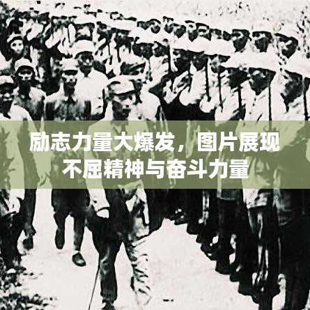 喜出望外 第4页