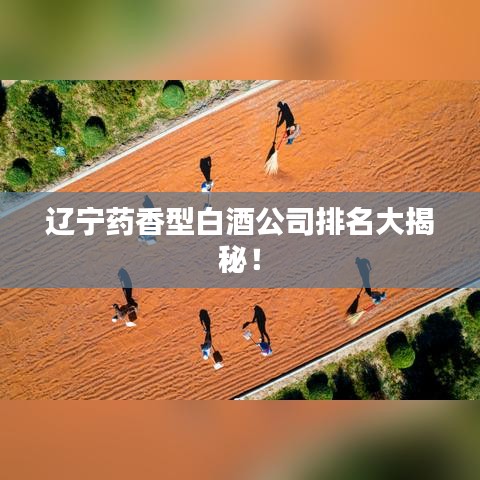 辽宁药香型白酒公司排名大揭秘!