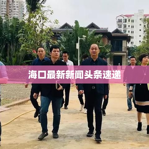 海口最新新闻头条速递