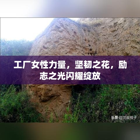 怀真抱素 第4页