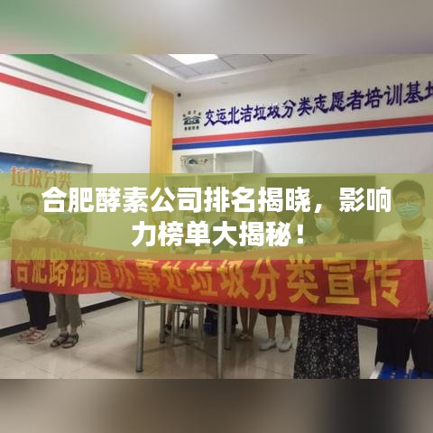 合肥酵素公司排名揭晓,影响力榜单大揭秘!