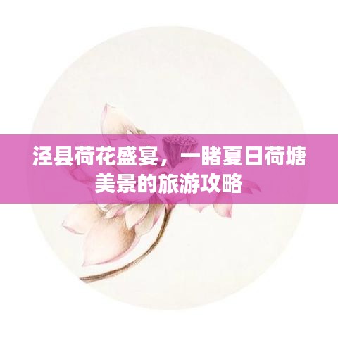 炙手可热 第3页