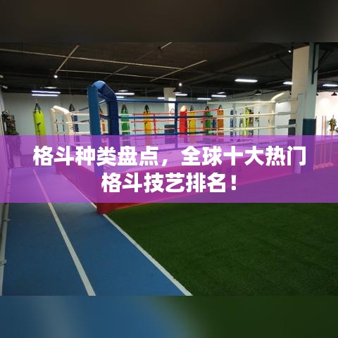 格斗种类盘点,全球十大热门格斗技艺排名!