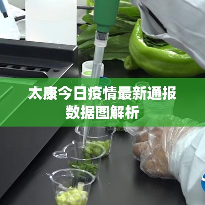 太康今日疫情最新通报数据图解析