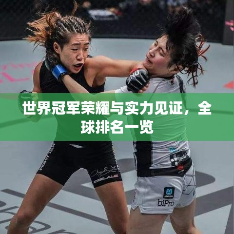 世界冠军荣耀与实力见证，全球排名一览
