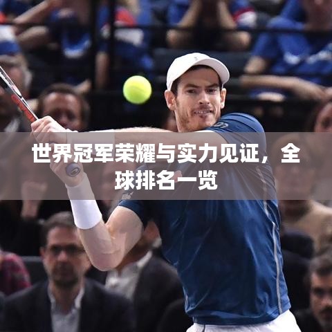 世界冠军荣耀与实力见证,全球排名一览
