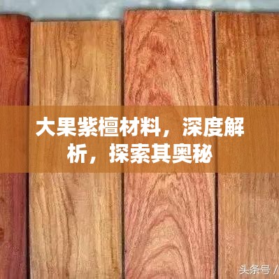 大果紫檀材料,深度解析,探索其奥秘