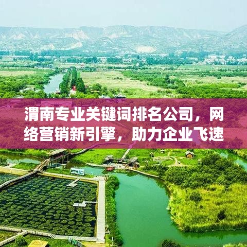 渭南专业关键词排名公司，网络营销新引擎，助力企业飞速成长