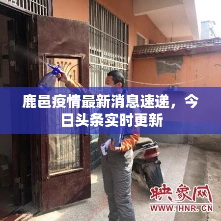 鹿邑疫情最新消息速递，今日头条实时更新