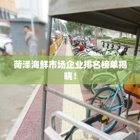 菏泽海鲜市场企业排名榜单揭晓!