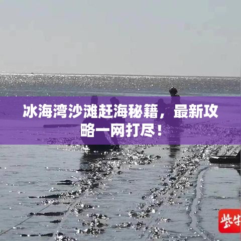 冰海湾沙滩赶海秘籍，最新攻略一网打尽！