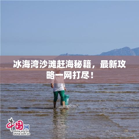 冰海湾沙滩赶海秘籍,最新攻略一网打尽!