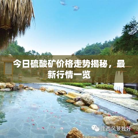 今日硫酸矿价格走势揭秘,最新行情一览