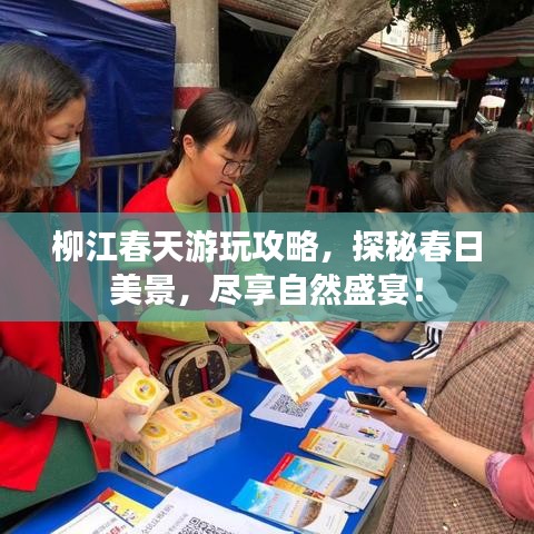 柳江春天游玩攻略，探秘春日美景，尽享自然盛宴！