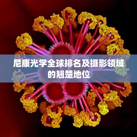 尼康光学全球排名及摄影领域的翘楚地位