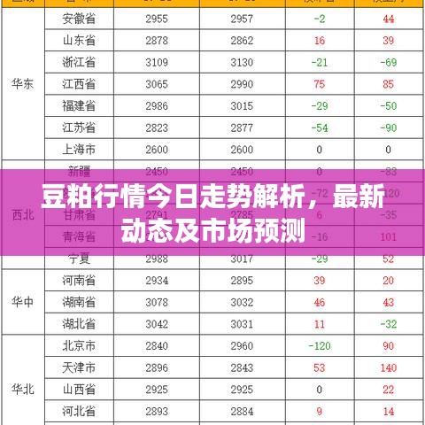 豆粕行情今日走势解析,最新动态及市场预测