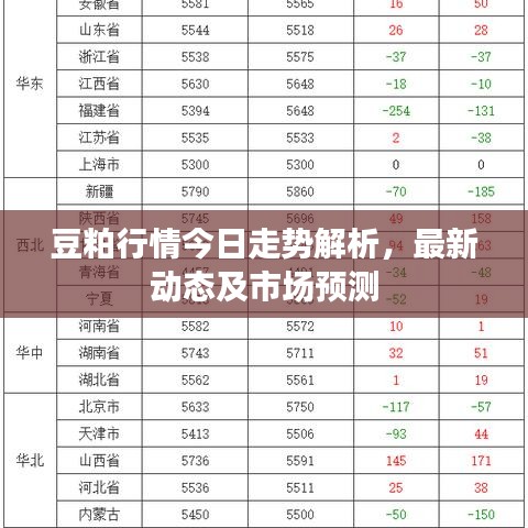 豆粕行情今日走势解析,最新动态及市场预测