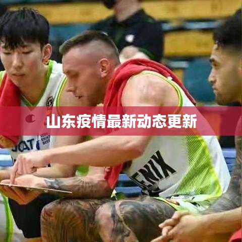 山东疫情最新动态更新