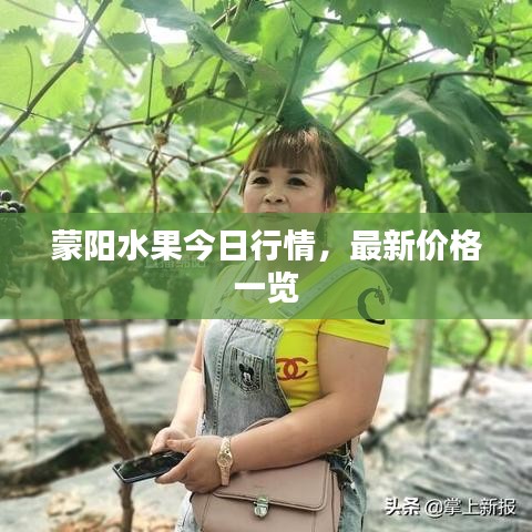 蒙阳水果今日行情,最新价格一览