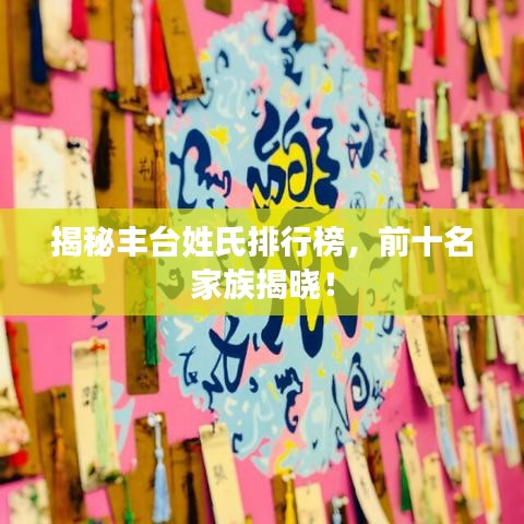 揭秘丰台姓氏排行榜,前十名家族揭晓!