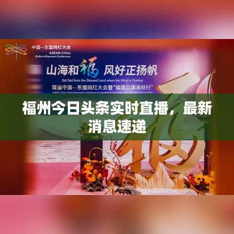福州今日头条实时直播,最新消息速递