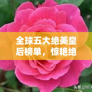 全球五大绝美皇后榜单,惊艳绝伦的皇后之美!