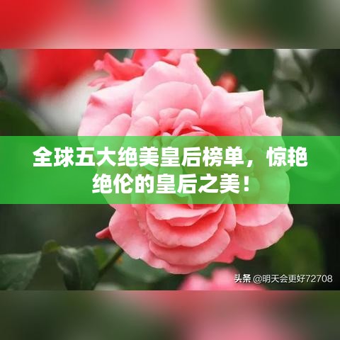 全球五大绝美皇后榜单,惊艳绝伦的皇后之美!